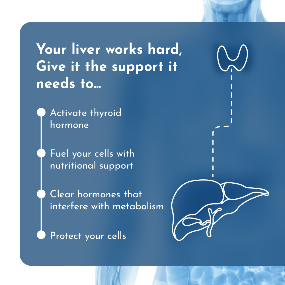 Thyroid &amp; Liver Support (1 PACK - 30-Day Trial)